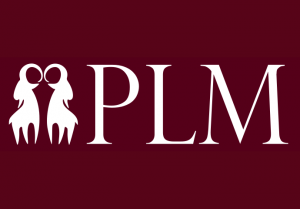 53rd Poznań Linguistic Meeting (PLM2025), 21-24 September 2025 “Human language: Is it unique?”